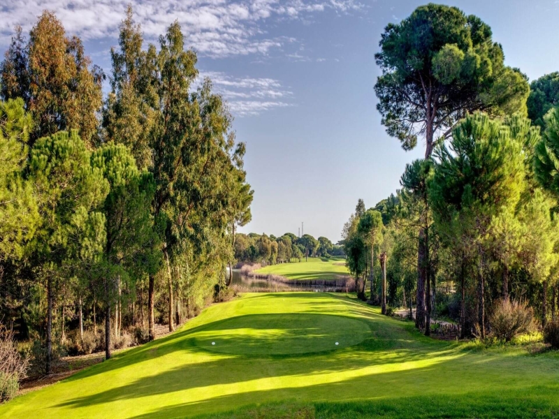 Faldo Golf Club