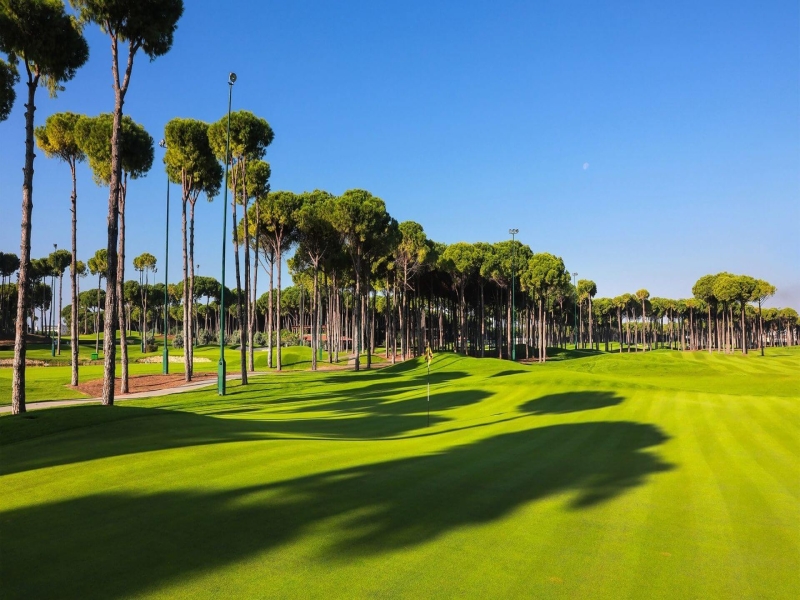 Carya Golf Academy